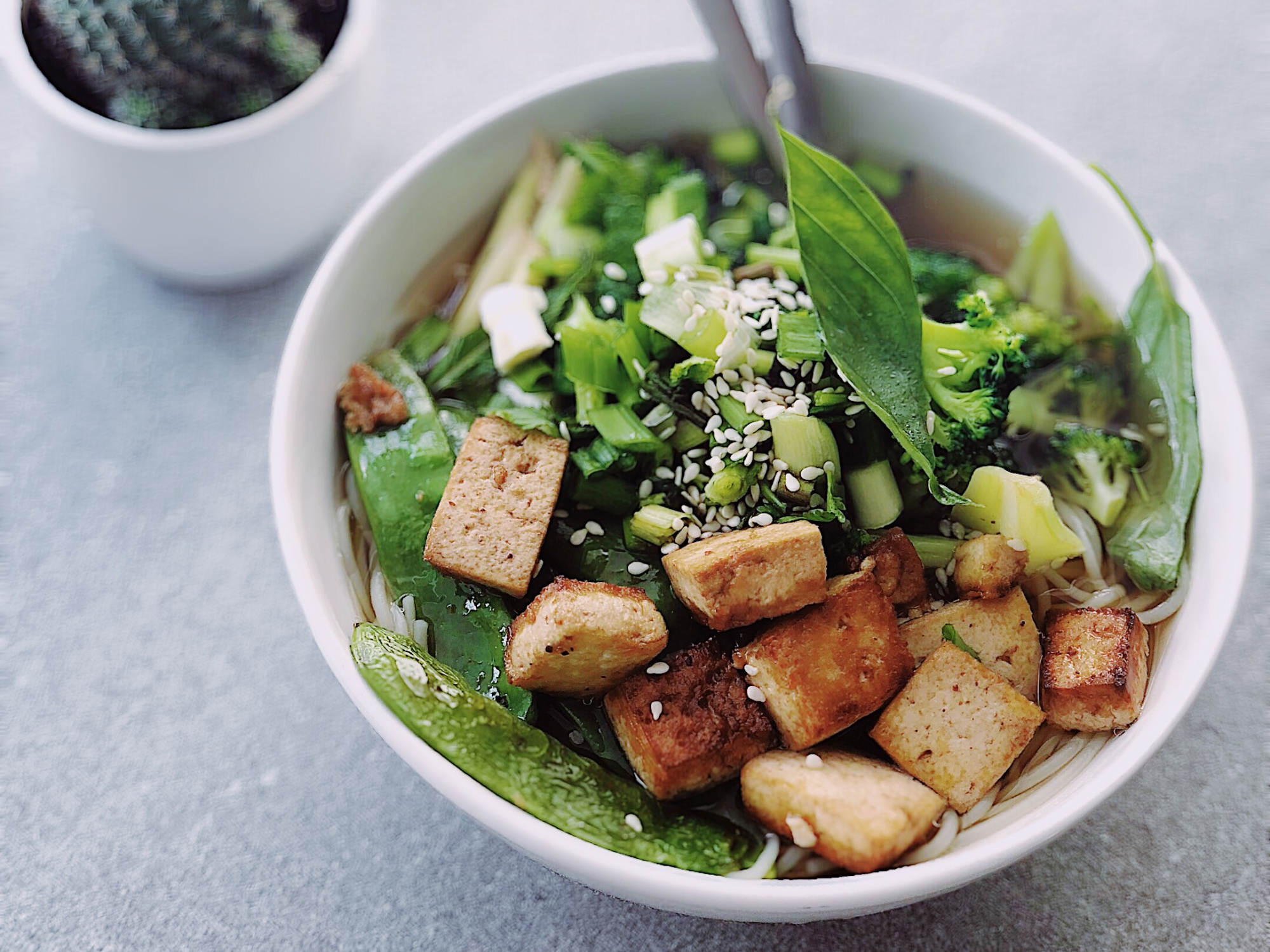 Le Bowl Fermenté - Skin & Out